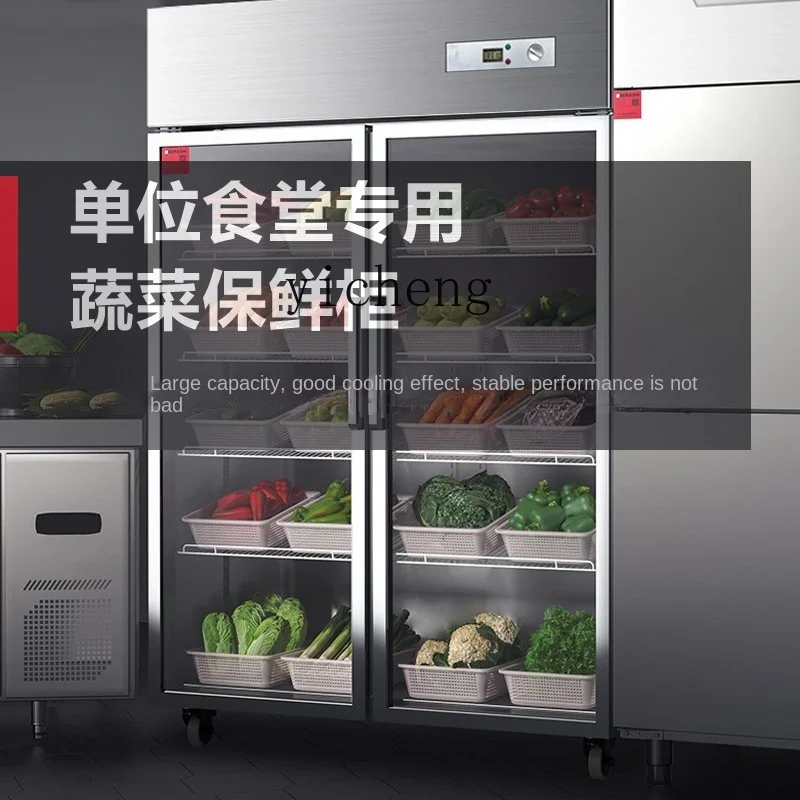 Tqh Freeze Storage Display Cabinet Vertical Industrial Refrigerator Double Door Three Door Fresh Cabinet