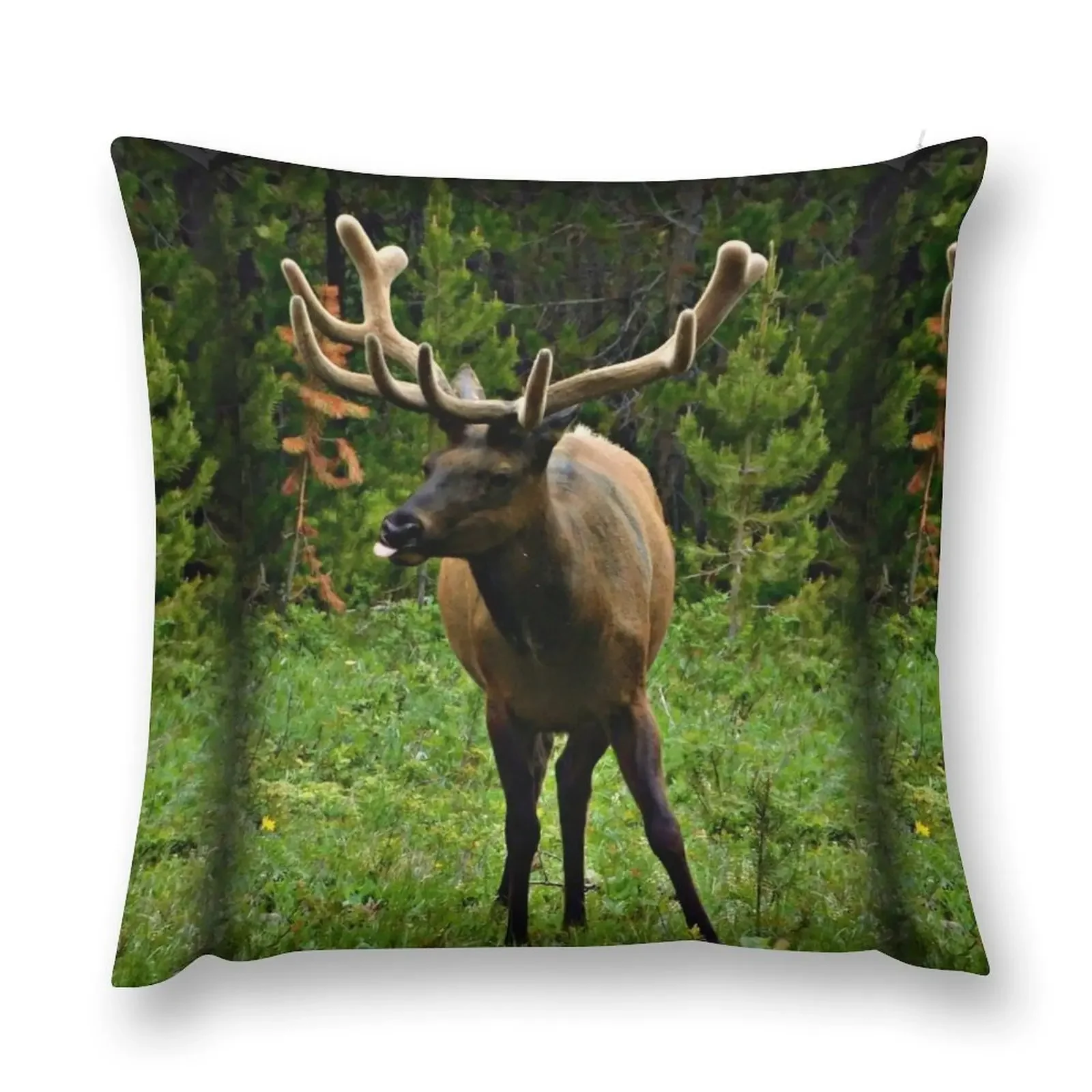 

The Grand Tetons, Wyoming Throw Pillow Decorative Sofa Cushion Pillow Cases Decorative christmas ornaments 2025 pillow