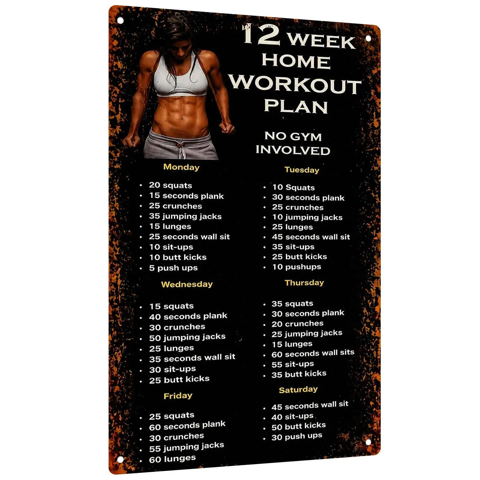 Aluminum Sign Suitable for 12-Week Home Workout Programs - Inspiring Wall Decor for Your Gym or Home Fitness Space, Measuring 20.32X 30.48cm with a Vintage Design Featuring a Tracker for Squats, Push-Ups, and Weightlifting