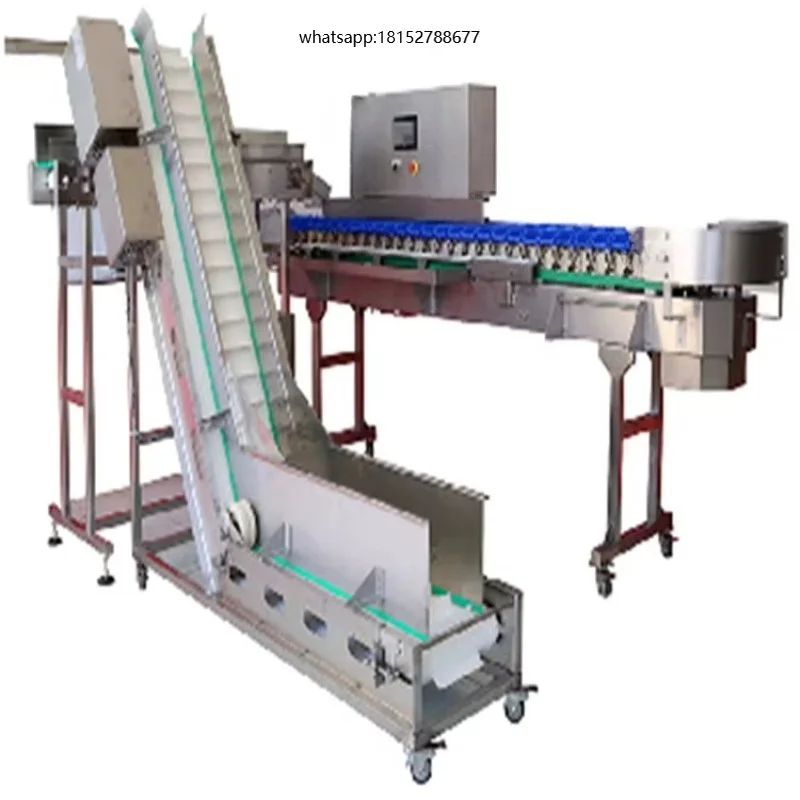 Fish Grading Machine Grader Sorting Shellfish Sorter