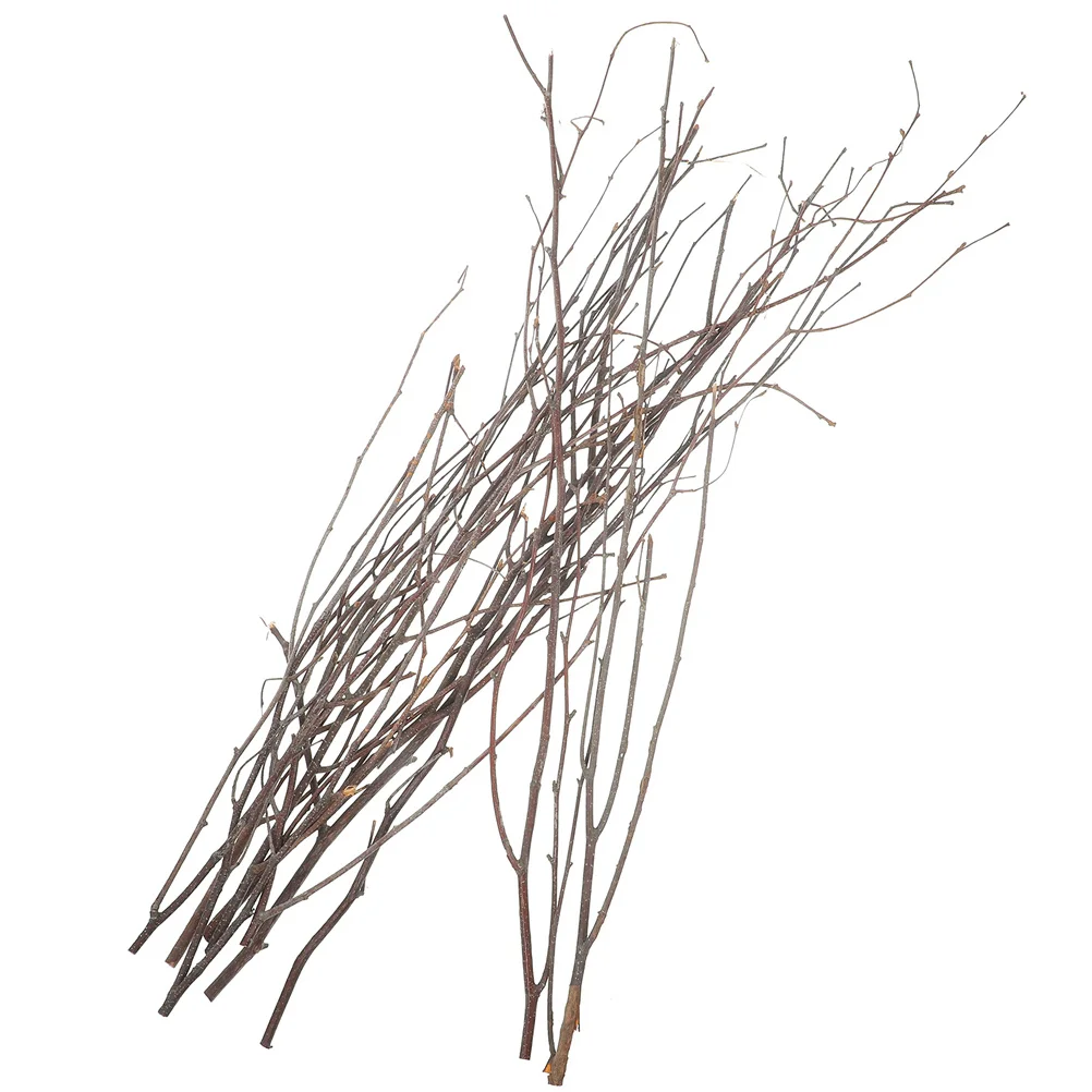 

12Pcs Natural Dried Tree Branches Decorative Plants Branch for Home Office Farmhouse Window Box Arts Crafts Vase Filler Wedding
