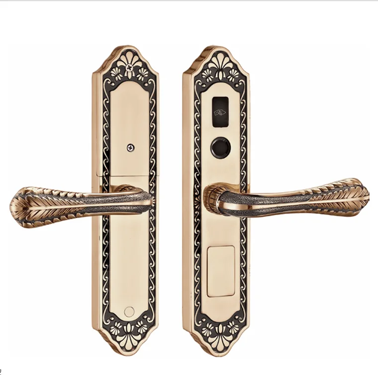 Tuya Smart Lock for Wood Metal Steel Doors Brass Fingerprint IC Card Password Card Key Face Recognition App Smart Lock