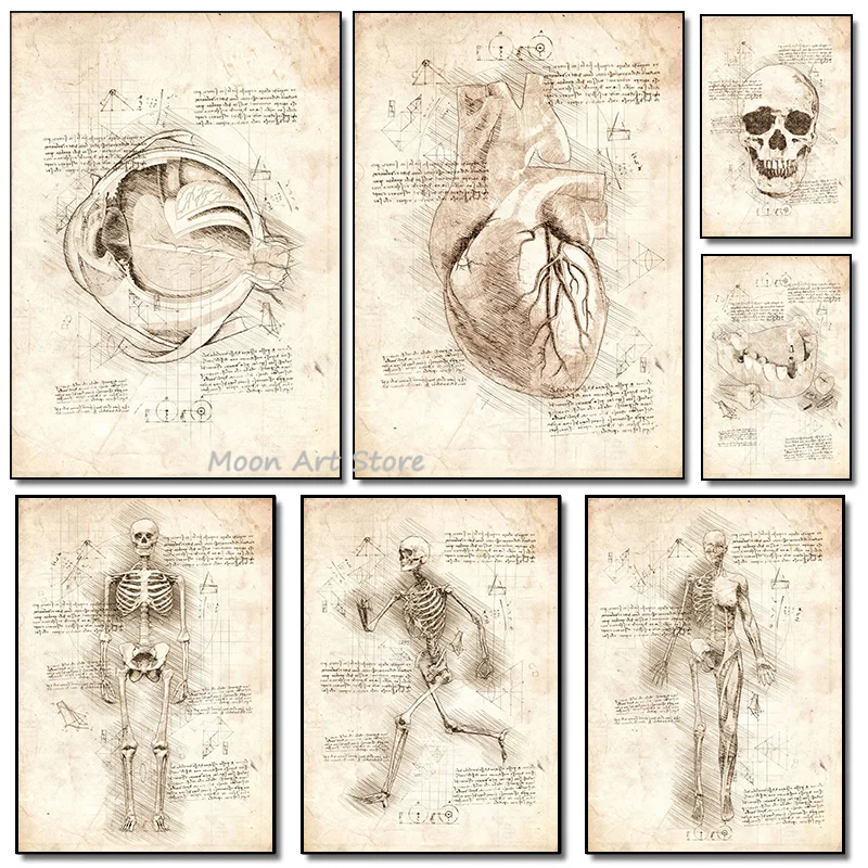 Vintage Human Anatomy Canvas Painting Skeletal Muscle Eyeball Medical Education Poster HD Print Wall Art Hospital Office Decor