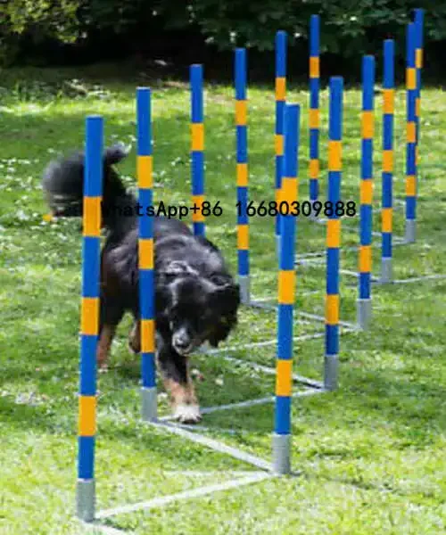 Pet Dog Agility Weave Pole Dog Training Slalom Jump Hurdle