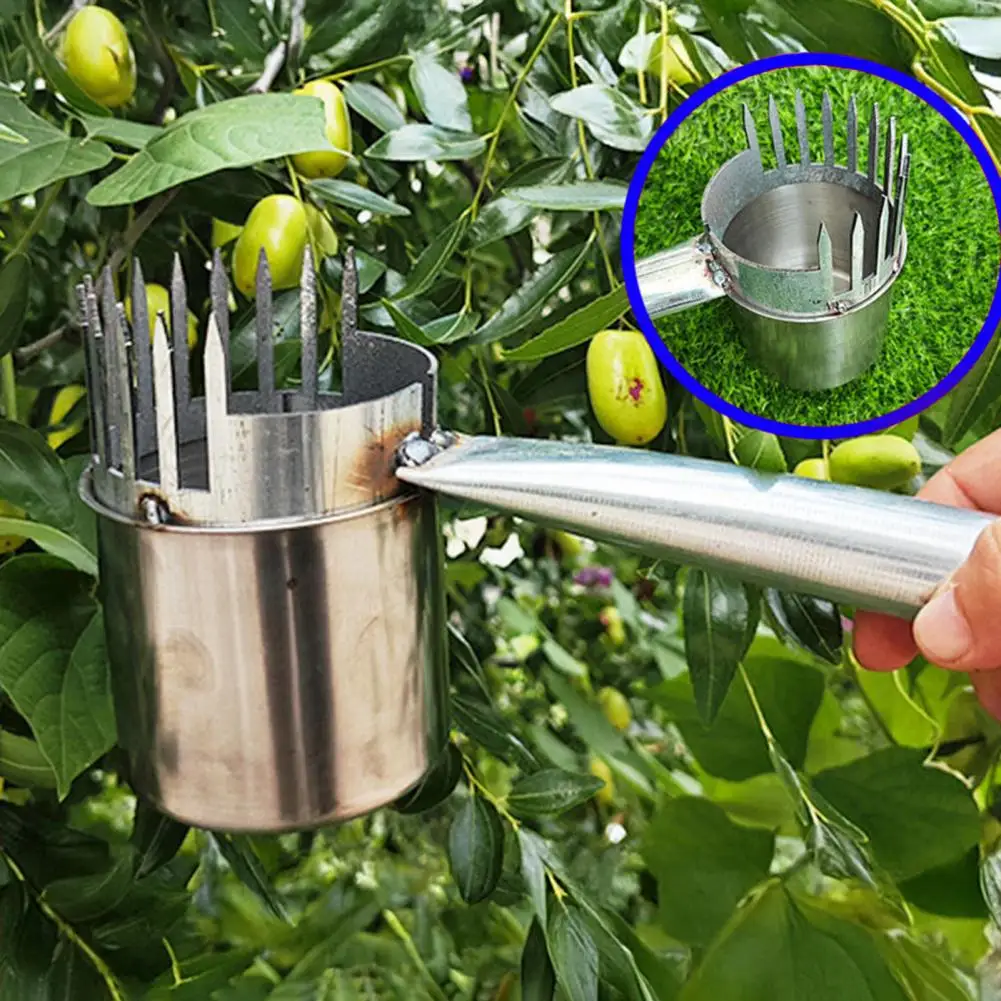 Metal Fruit Picker Light-weight Fruit Picking Tool with Bag or Cup Fruit Collection Tool for Jujube Blueberries Longans