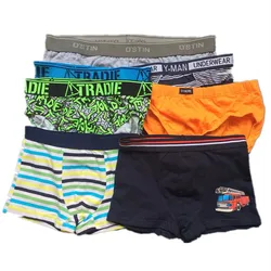 2pcs/Lot Teen Boy Briefs Underwear 4T-20T Big Boy Cotton Soft  Male Brief Man Quality Underpants Breathable Men Boxers