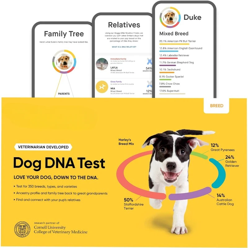 

Breed Identification Kit | Most Accurate Dog DNA Test | Test 350+ Dog Breeds | Breed ID Kit with Ancestry & Family Tree