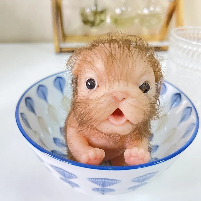2021 New 5 Lion Doll Full Body Silicone Lion Cute Lifelike Dog Reborn Baby Lion Dolls AliExpress