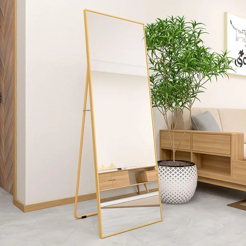 Alloy Frame Full Length Mirror Free Standing Hanging or Leaning Floor Mirror Wall Mounted Full Body Mirror , 65" X 24"