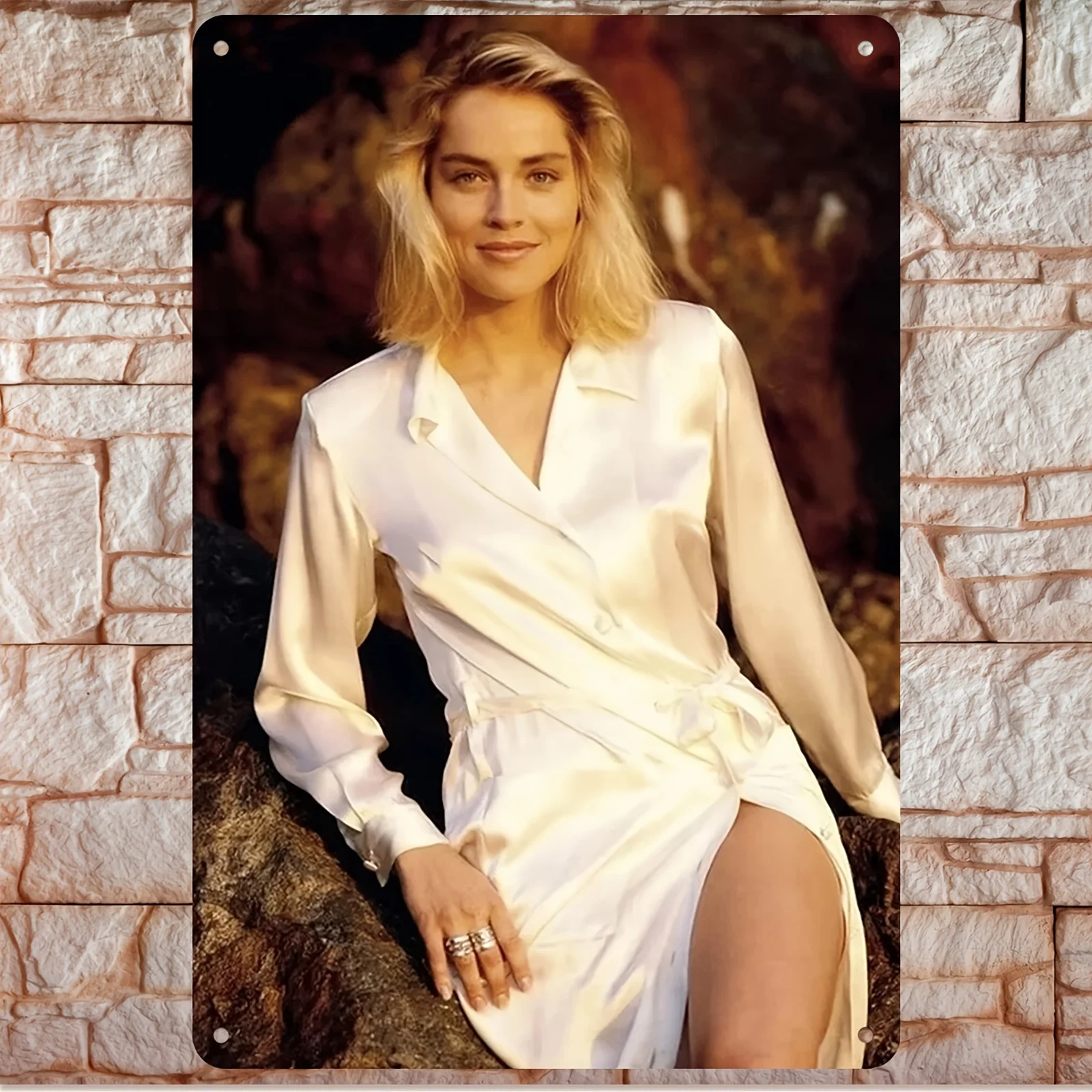 Sharon Stone Movie Poster Metal Wall Art - 2D Flat Iron Sign, 12x8 Inch Vintage Decor