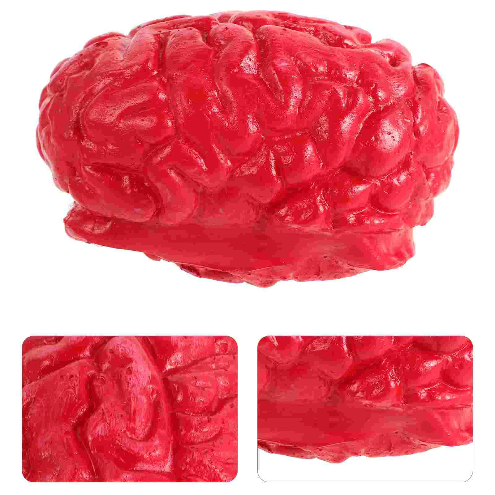 2 Pcs Dummy Simulation of Human Organs Halloween Decor Prank Props Gift Fake Body Brains Red Child