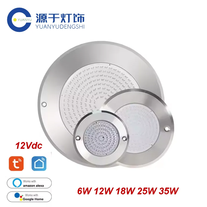 Projecteur de piscine RGB LED 6W 12W 18W 24W 35W Tuya WIFI APP en acier inoxydable rempli de résine étanche IP68 monté en Surface plate