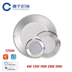 RGB Pool Projector LED 6W 12W 18W 24W 35W Tuya WIFI APP Stainless Steel Resin Filled Waterproof IP68 Flat Surface Mounted