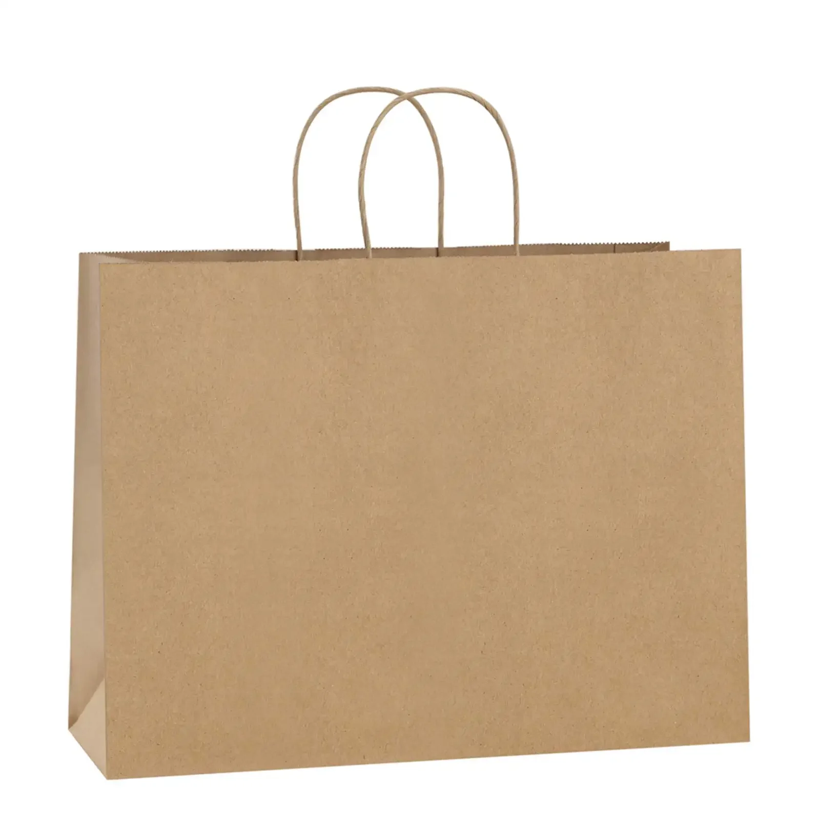 10Pcs Large Kraft Paper Bags with handles for Party Favors Paper Gift Bags for Birthday Wedding Party Gift Shopping Retail Bags