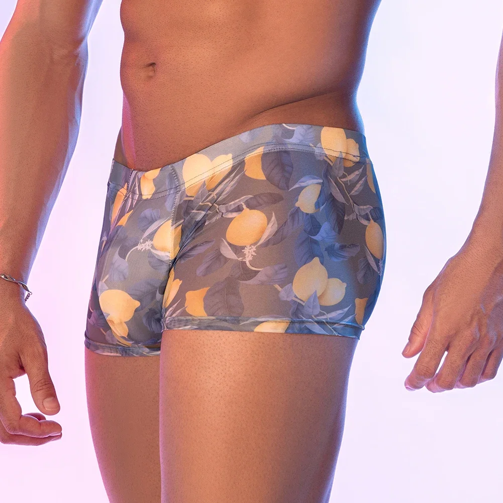 

Sexy Mesh Boxer Men Ultra-Thin Underwear See Through Trunks Shorts Print Underpants Gay Sissy Bulge Pouch Lingerie Knickers