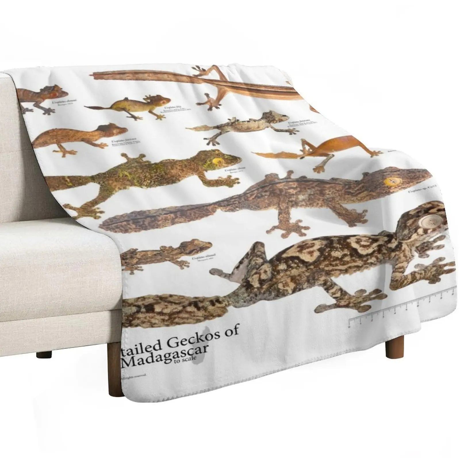 Some Leaf-Tailed Geckos of Madagascar to Scale, Version 1.0 Throw Blanket bed plaid For Sofa Thin Furry Blankets