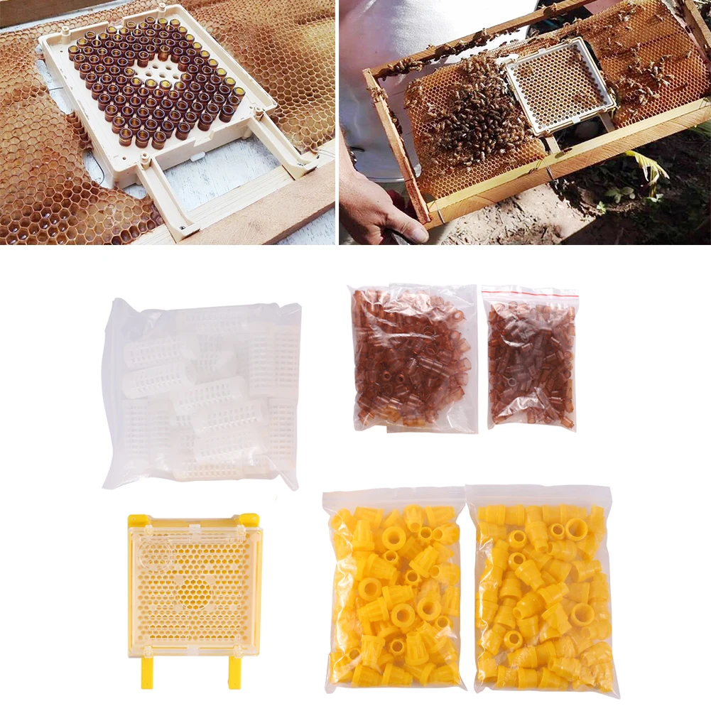 

Beekeeping Breeding Kit Bee Queen Rearing Box Plastic Cup Cell Protection Cover Cage Beekeeper Apiculture Rearing Tool