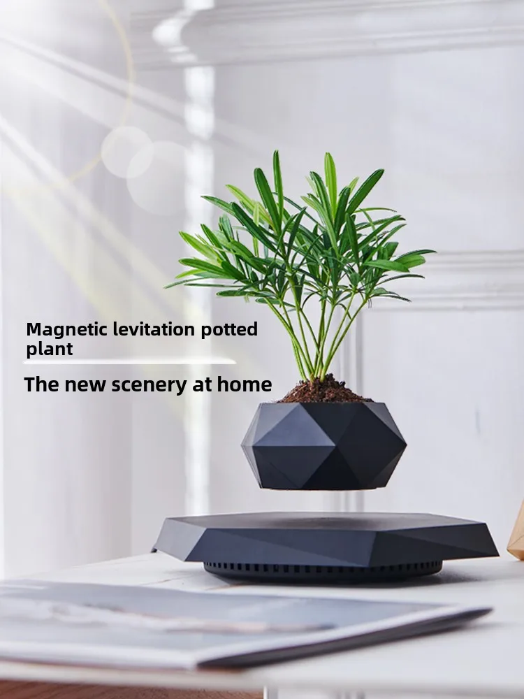 Maglev ornamento soggiorno ufficio desktop luce lusso piante in vaso di fascia alta bonsai creativo tecnologia nera articoli per la casa