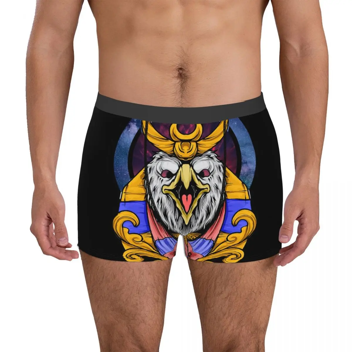 

Illustration God Ra Underpants Breathbale Panties Male Underwear Print Shorts Boxer Briefs