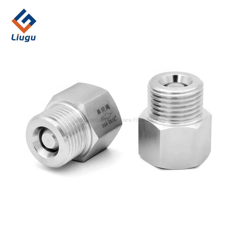 

304 Stainless Steel BSP Hex Straight One-way Check Valve, Male-Female Thread, 1/4" to 1", Liquid/Gas, High-Temperature Resistant
