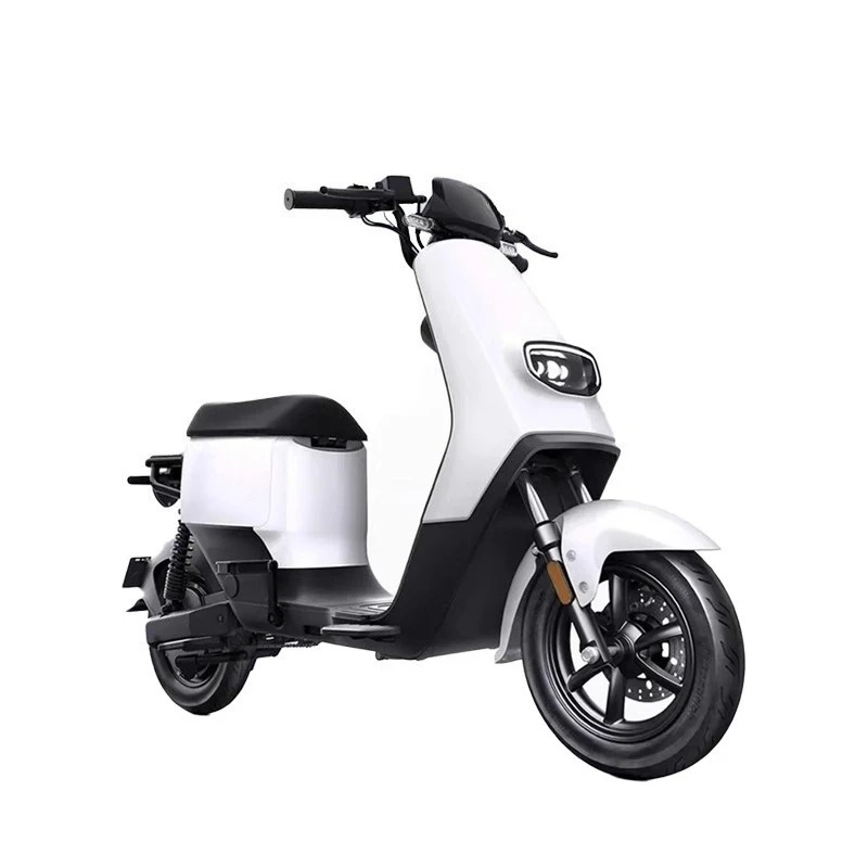 National Standard Lithium-Ion Electric Power-Assisted Bicycle - Long-Range Model for Work Commuting
