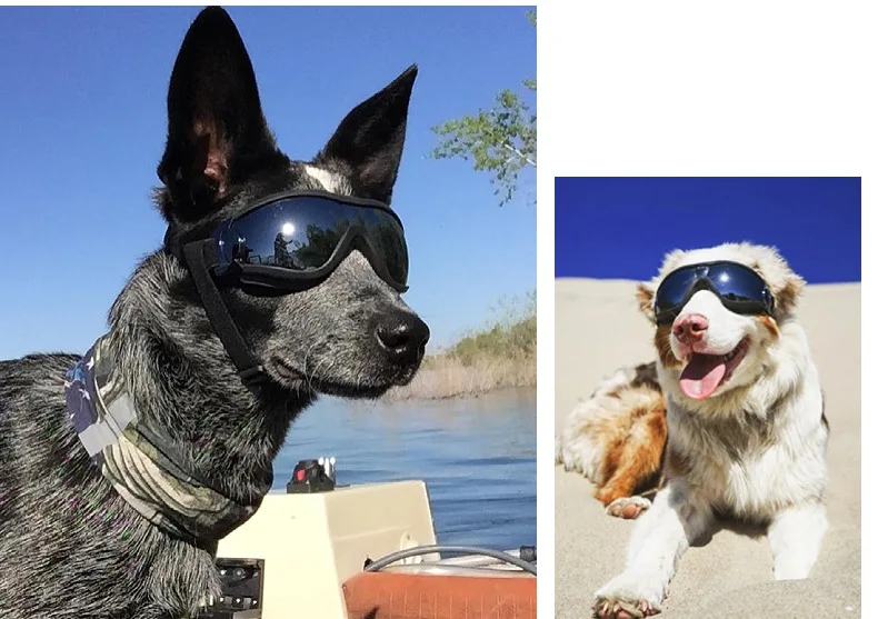 Transparente Farbige Hunde-Schutzbrille Wasserdicht Winddicht Sonnenschutz UV-Beständig Große Hundebrille – Detail 14