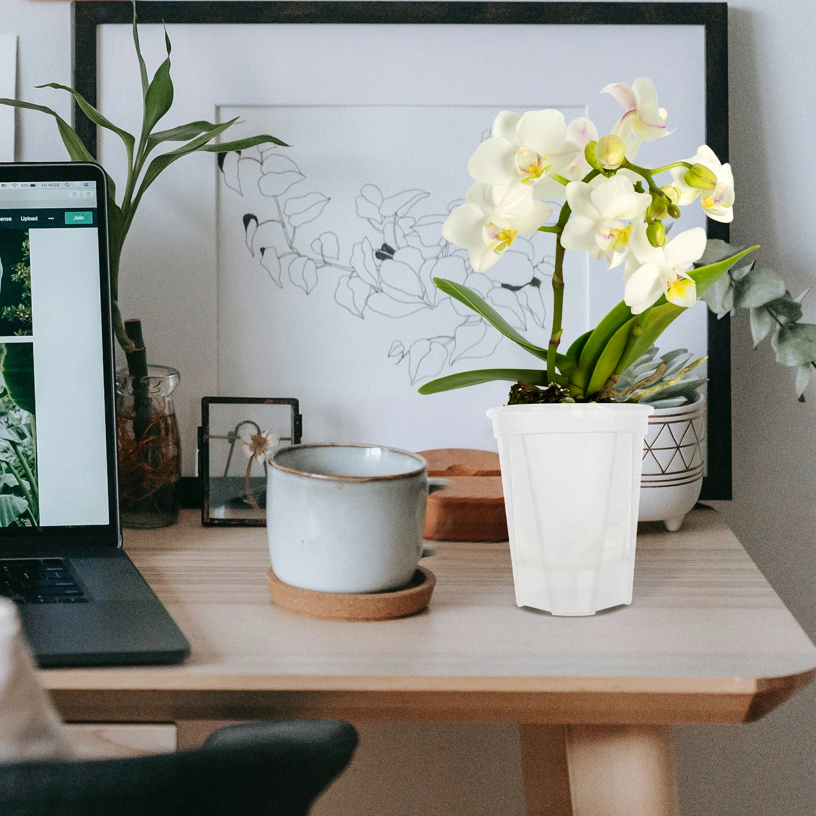 5 Pcs Self-priming Flower Pot Plants Home Flowerpot Absorbing Lazy  Watering Pp Absorption Holder Home Flowerpot Indoor Plants