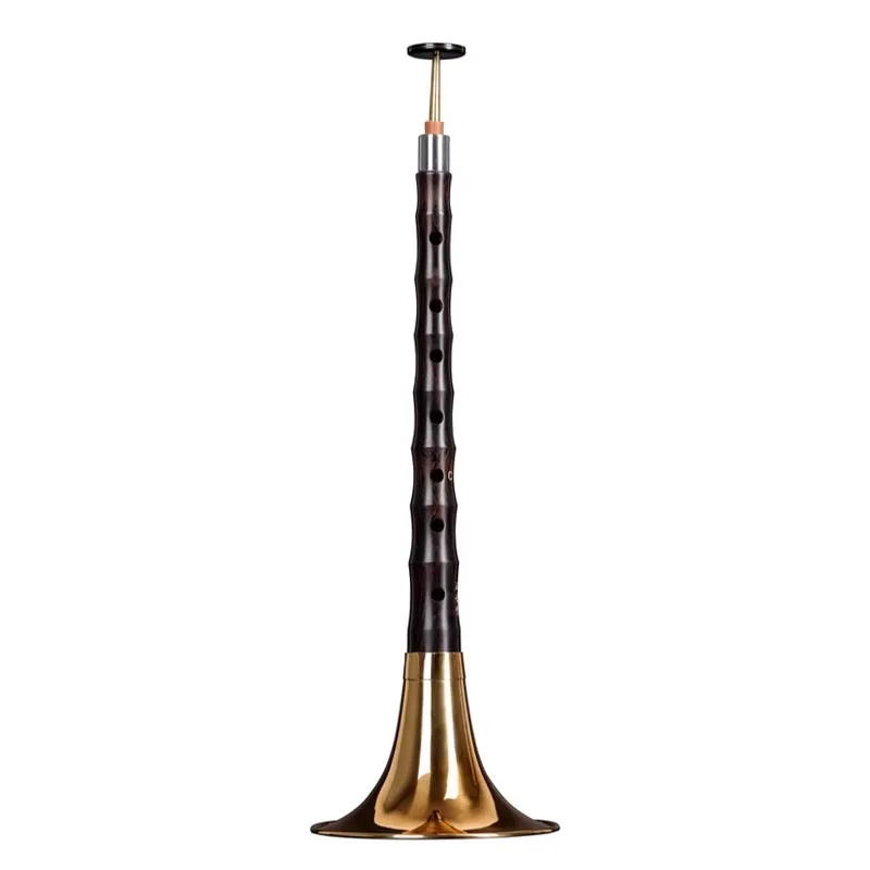 C/D Key Suona Set Adult Beginners Practice Suona Chinese Tradition Perform Folk Horn Portable Professional Brass Instruments