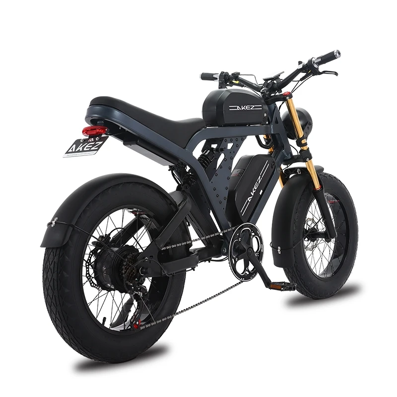 

Wholesale 1500W Electric Bike with 48V Powerful Motor 20 Inch Fat Tire 500W-20 Inch Electric Dirt Bicycle