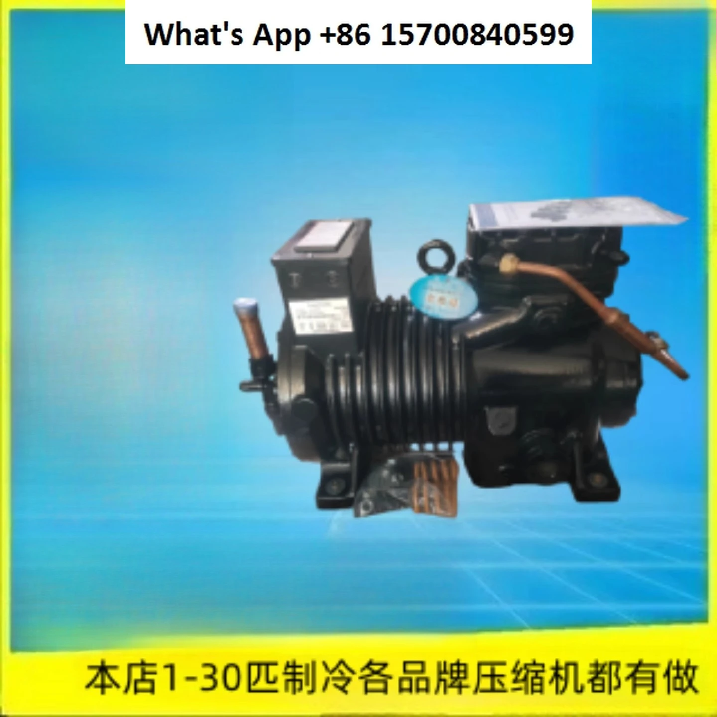 CA-0300 CA-0500-TWM S-0800-TFM-200 Cold Storage Semi-hermetic Compressor