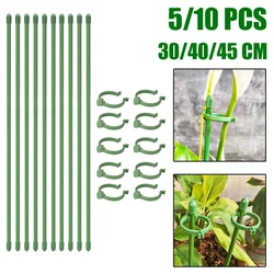 30/40/50CM Plant Supports Stakes 5/10 Set Plastic Flower Holder Stand Stick Set Garden Supplies Tomato Bracket Fixing Tool