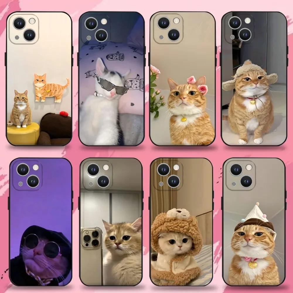 

Cool Cute Funny Cat Phone Case For iPhone 16,15,14,13,12,11 Plus,Pro Max,XS,X,XR,SE,Mini,8,7,Soft Silicone Black Cover