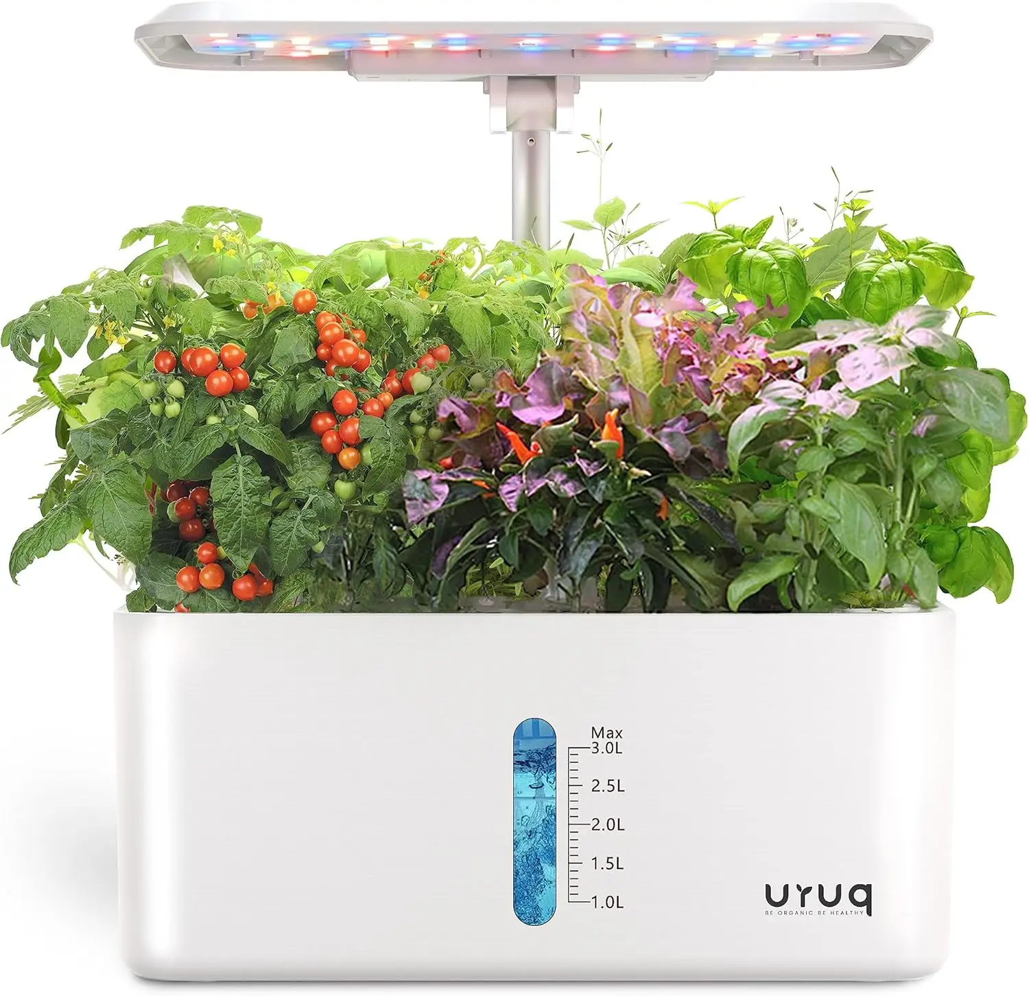Hydroponics Growing…