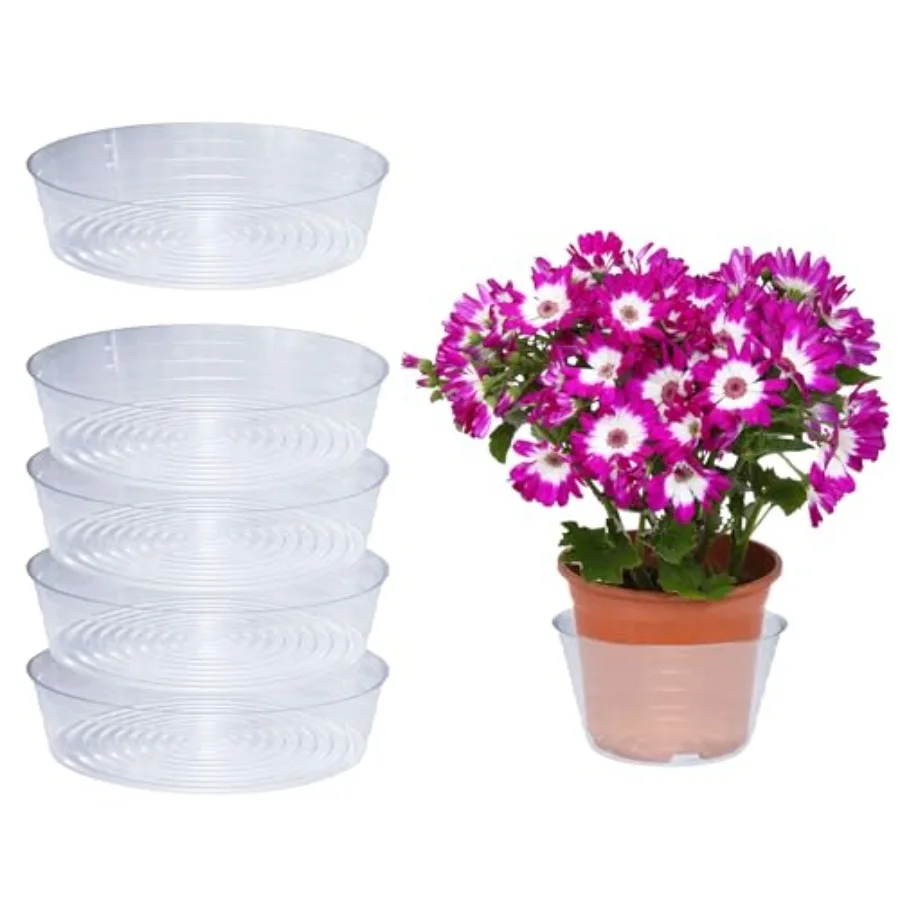 

Curtis Wagner Plastics Drip Pan Saucers 5-Pack - Clear (Diameter: 14.5" Base 16" Top 3.75" Depth) Thin Plastic Plant Tray Indoo