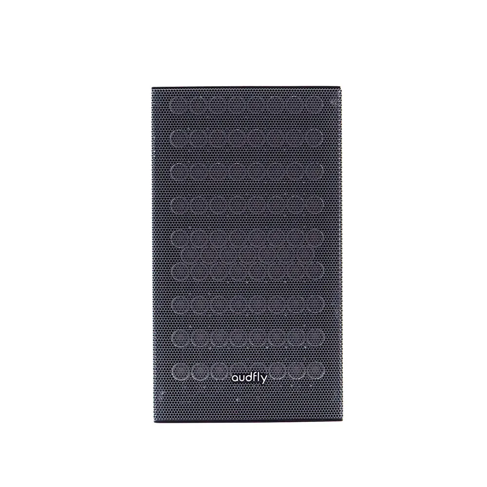 2026 Audfly Control Sound Innovation High Directivity Wall Mounted Focused Audio Directional Speakers for Kiosks