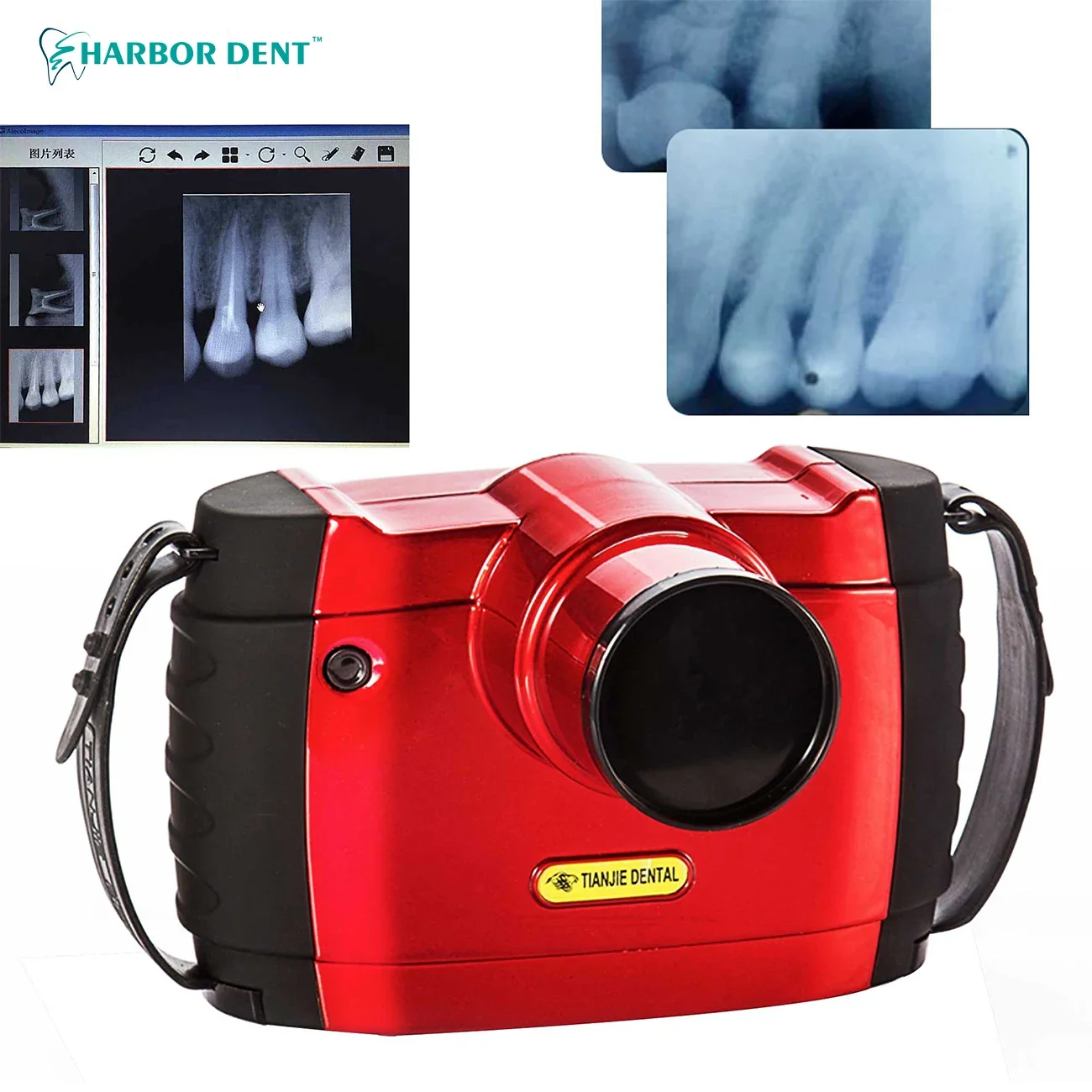 Dental X-Ray Machine Equipment High-Frequency Wireless Handheld X Ray  High Frequenc Size Image Sensor for Veterinary Clinic