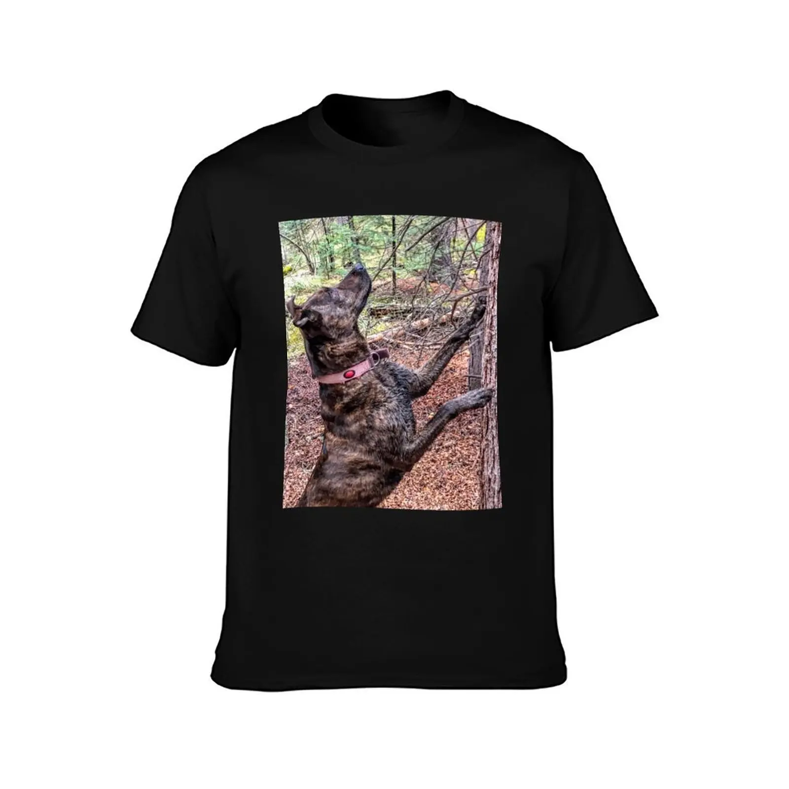 Squirrel Chasing Plott Hound T-Shirt Sport Basic Moisture Wicking Tee T-Shirt