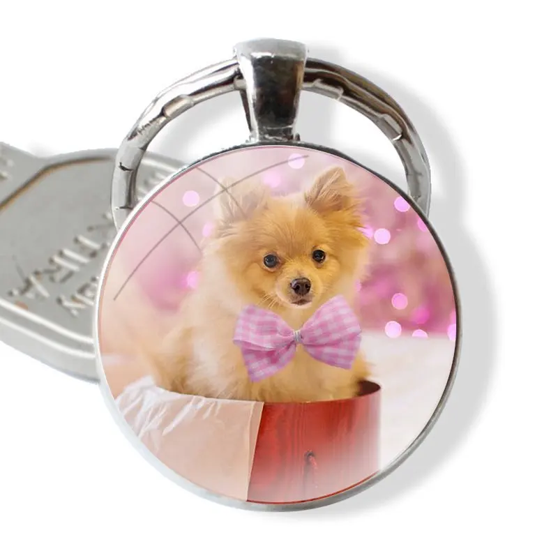 Accessories Phone Cases Covers glass cabochon keychain Car key chain Charms keychains Gifts Pomeranian dogs