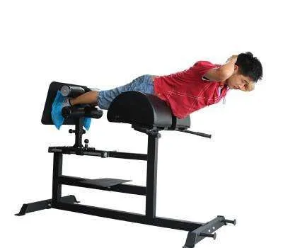 Commercial Roman Chair Back Trainer Flat Plate Loaded Fitness Equipment 2025
