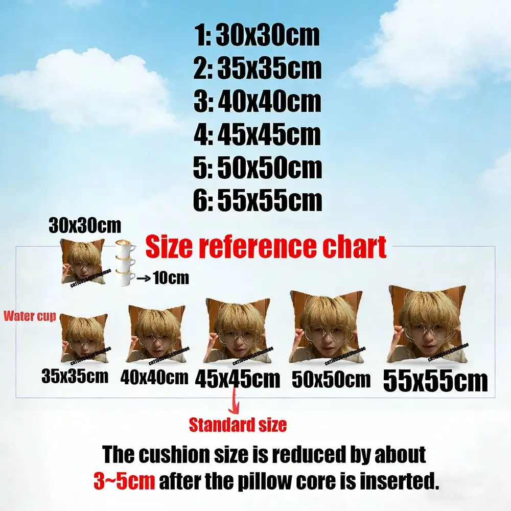For Y-Yaelokre Hayfields Harpy Hare Throw Pillow Case 30cm 40cm Car Custom Square Pillowcase Pad Cushion Cover