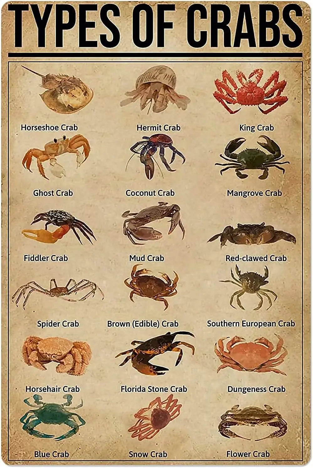 Affiche métallique rétro « Types de crabes » – Décoration murale pour école, café, chambre, salle de bain, cuisine, maison – Panneau décoratif en étain