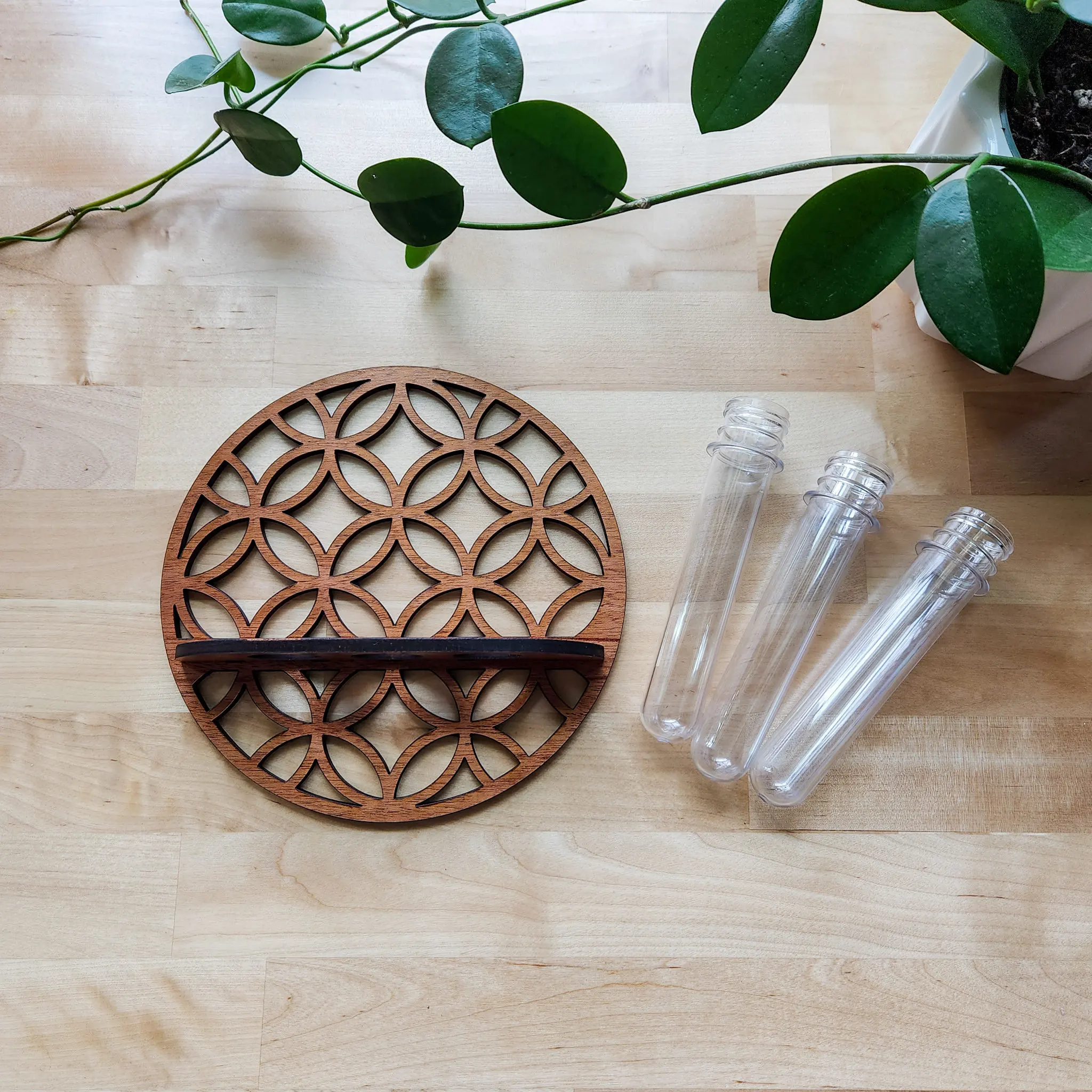 Garden Wall Planters Indoor Wooden Circle Plant Hanger Wall Hanging Flower Vase Rack with 3 Test Tubes Plant Propagation Station