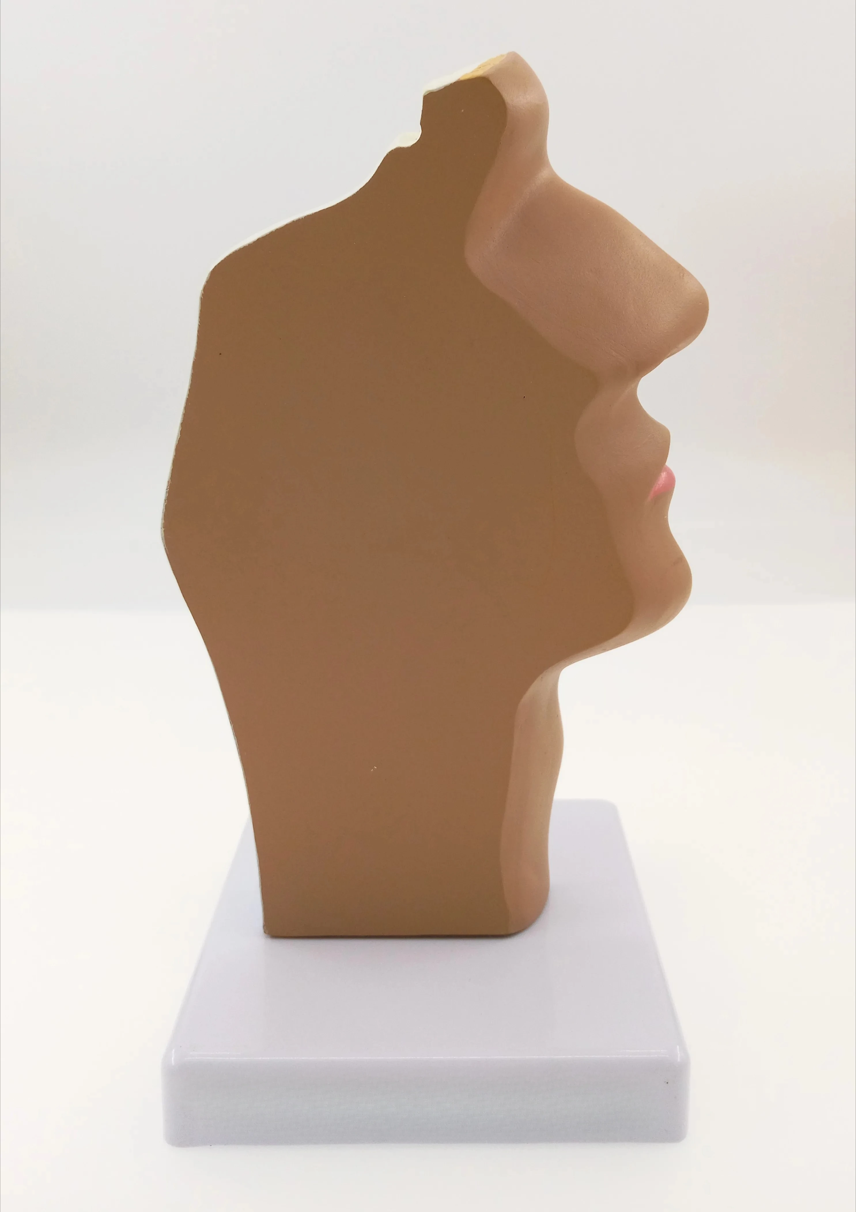 

Teaching simulation nasal throat anatomy model nasopharyngeal ENT medial vascular nerve teaching aids model