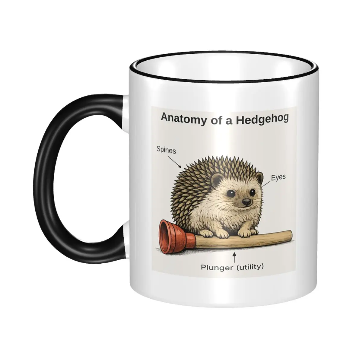 Hedgehog Anatomy Diagram Mug Funny Ceramic Coffee Cups Tea Mugs Milk Cup Drinkware Gift for Friends