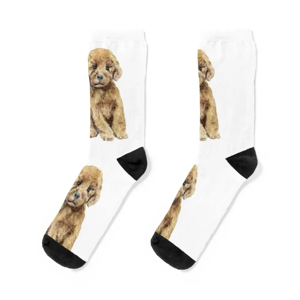 

Goldendoodle Puppy Socks christmas gifts Crossfit Running Children's Women's Socks Men's gym Non-slip cool Woman Socks Men's
