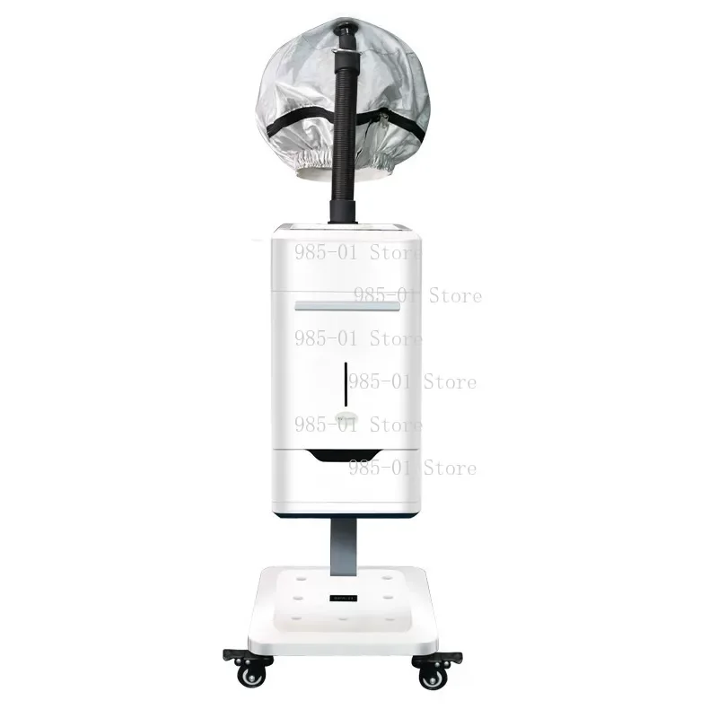 Ionic Micro Mist Hair Steamer SPA Care Soft Bonnet Cap Treatment Machine