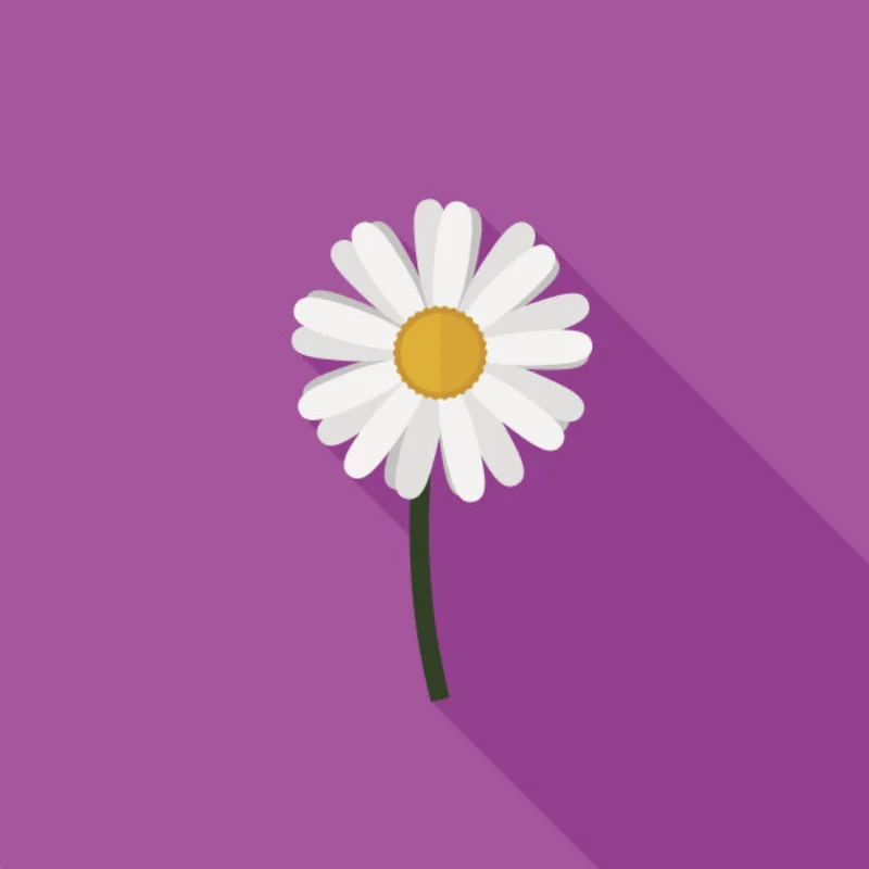 4 قطعة 53/107 42/100 الإطارات الإطارات 17 مللي متر عجلة عرافة ل Arrma 1/7 مخالفة لا حدود لها جناية FSR نموذج GT RC قطع غيار السيارات #1