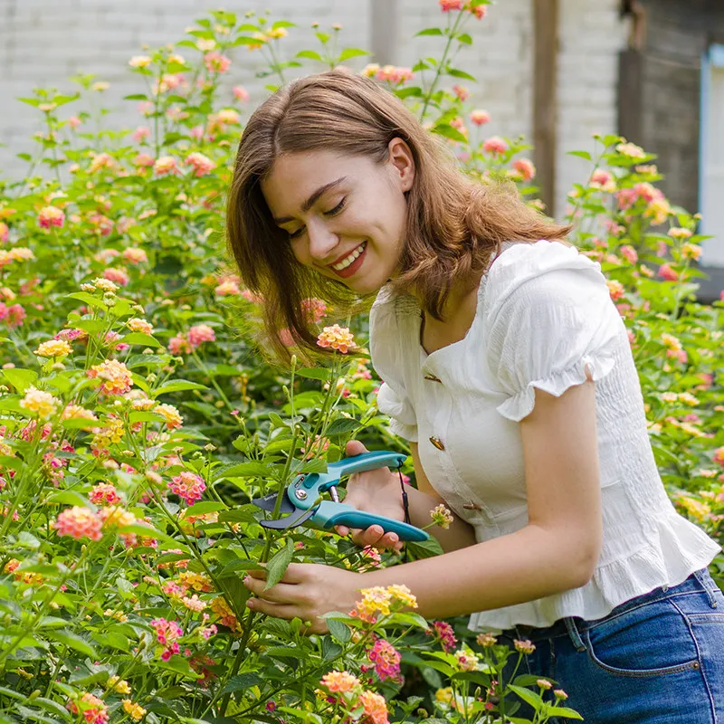Horticulture forest pruning scissors flowering potted fruit tree thick branch special scissors