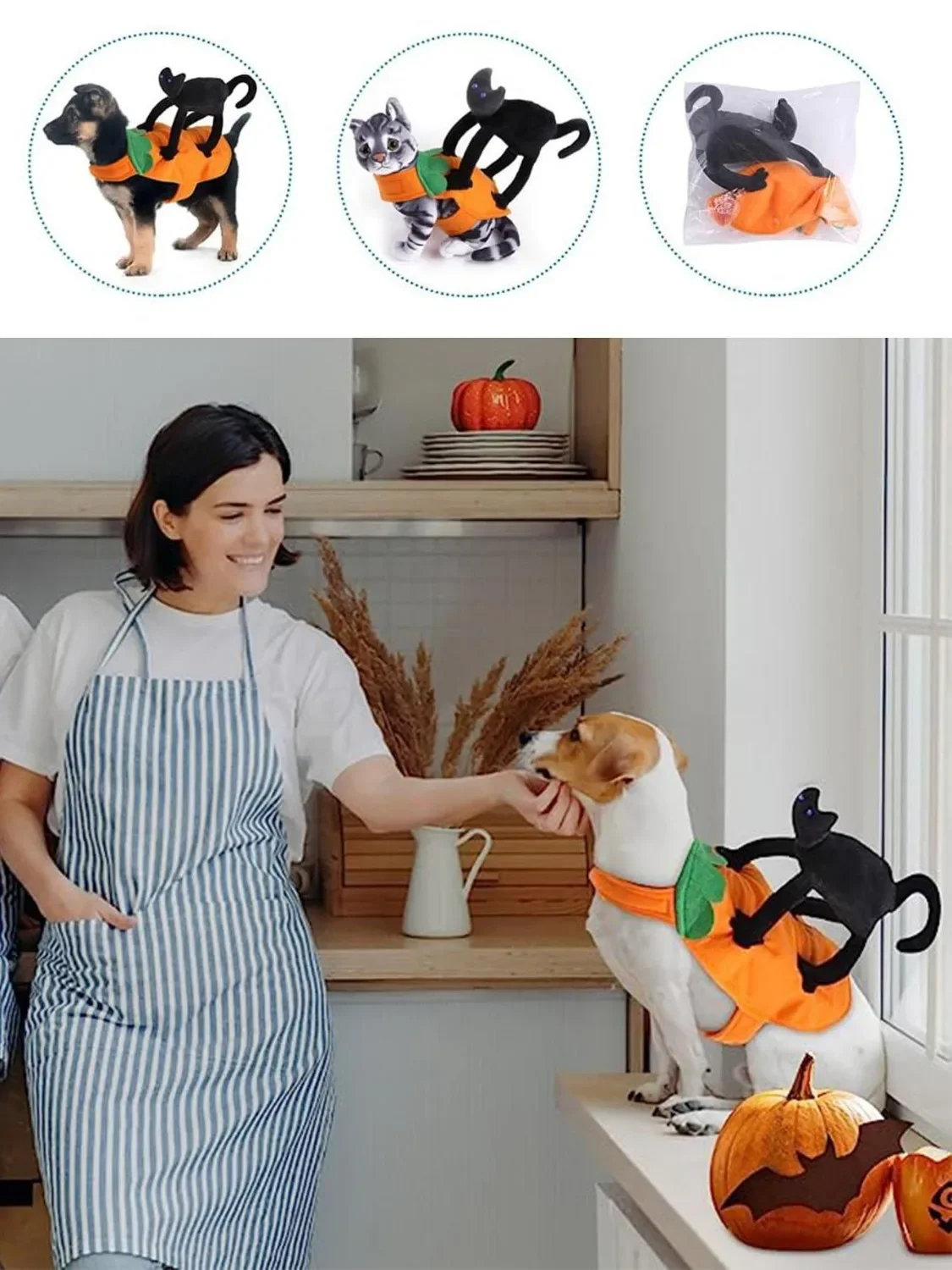 Halloween Pet Costume Pumpkin Black Cat Costumes for Dogs Pets Party Cosplay Clothing Halloween Costume for Small To Large Dogs