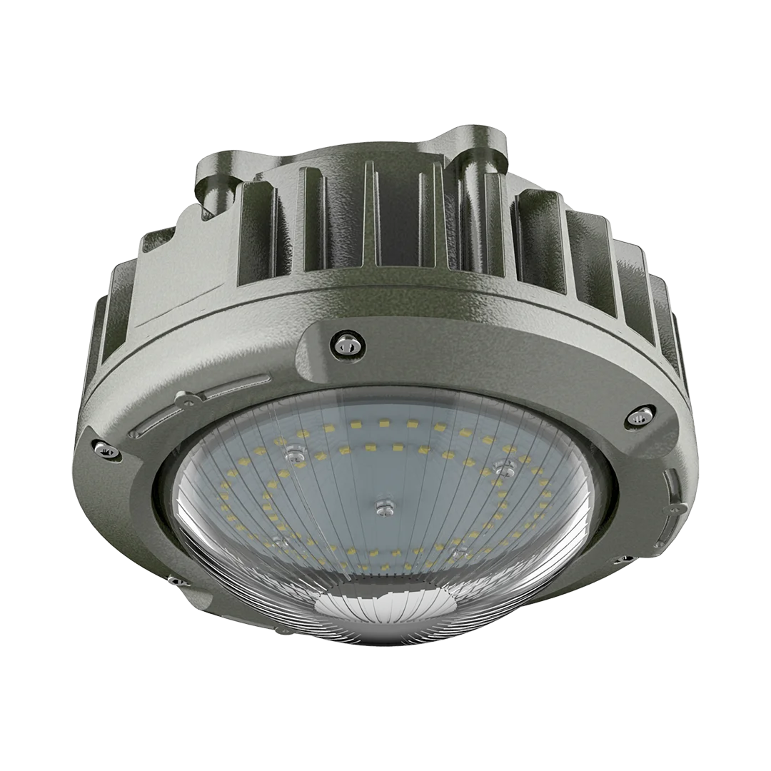 waterproof dustproof corrosionproof lamp pendant wall mount led 30W emergency LED ceiling light